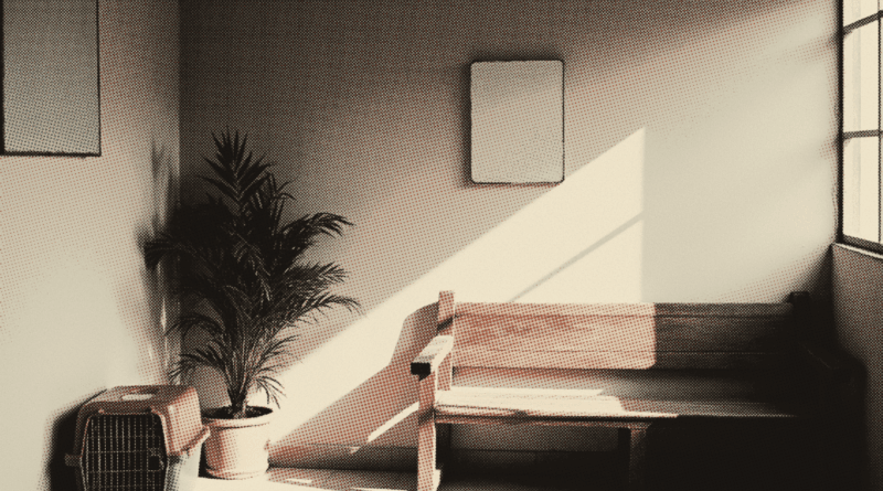 An empty veterinary waiting room in the morning — Vet Clinic Price Malaysia 2026: Consultation & Spaying