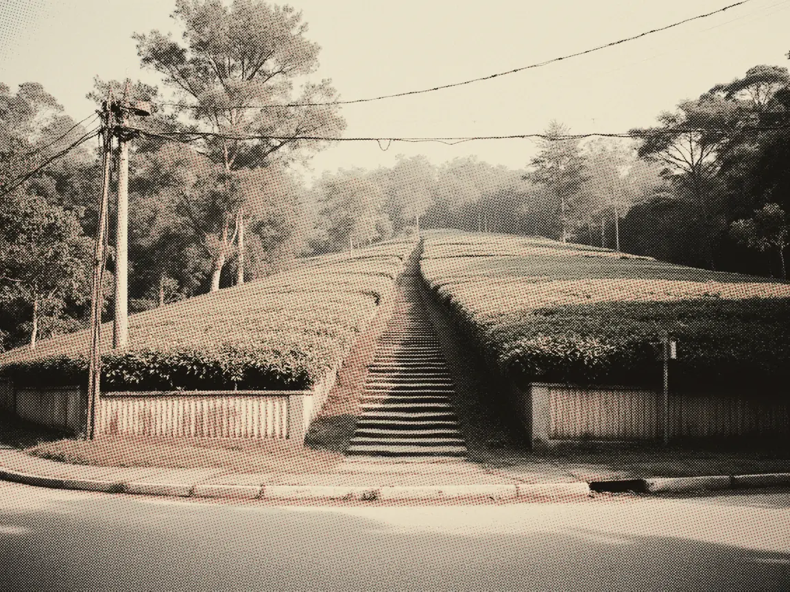Cameron Highlands 2026 Guide: Food, New Spots & Beating the Traffic — a terraced tea slope with rows of clipped bushes