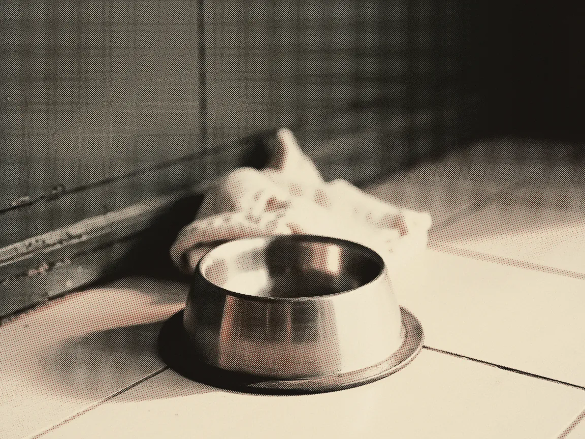 Vet Clinic Price Malaysia 2026: Consultation & Spaying — an empty steel pet bowl on a tiled floor beside a folded blanket
